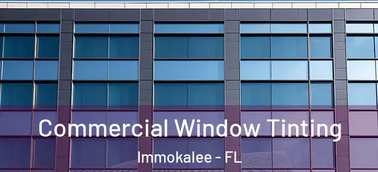 Commercial Window Tinting Immokalee - FL