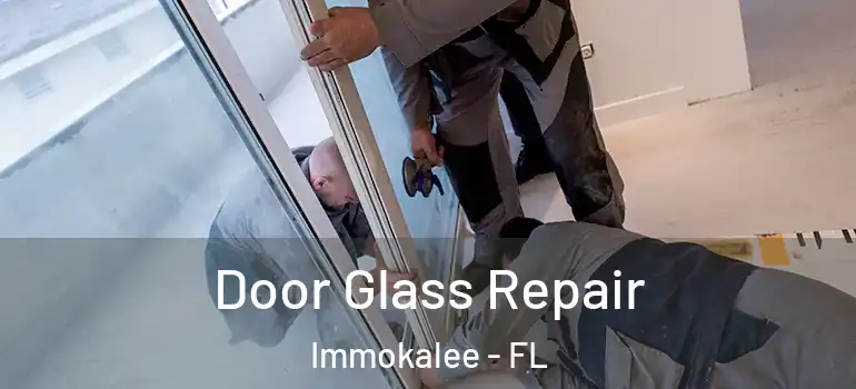  Door Glass Repair Immokalee - FL