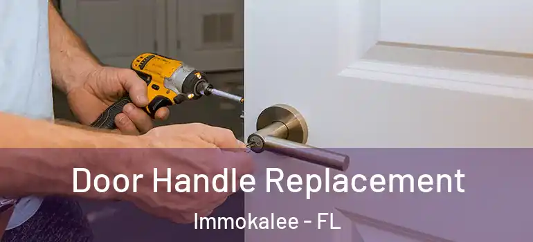  Door Handle Replacement Immokalee - FL