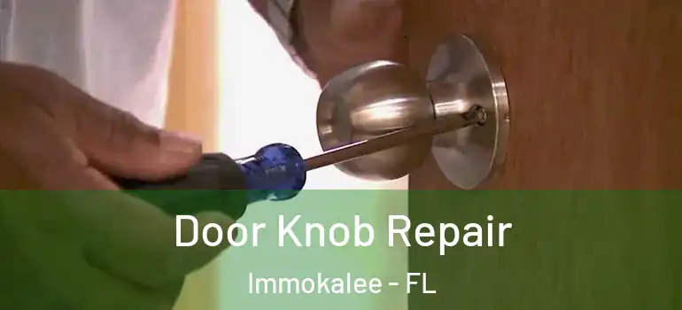  Door Knob Repair Immokalee - FL