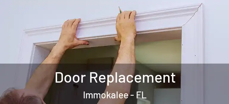  Door Replacement Immokalee - FL
