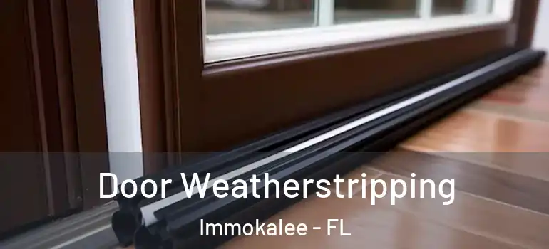 Door Weatherstripping Immokalee - FL