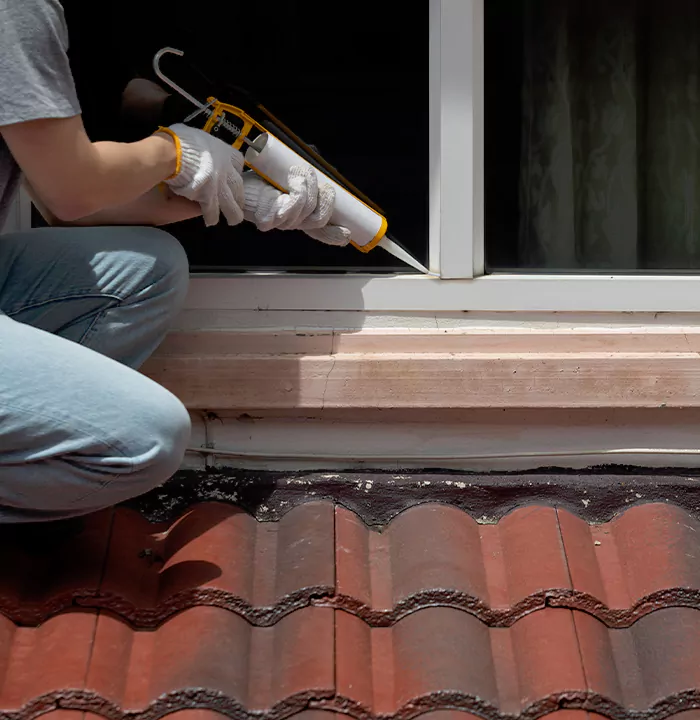 Roof Window Services in Immokalee, Florida