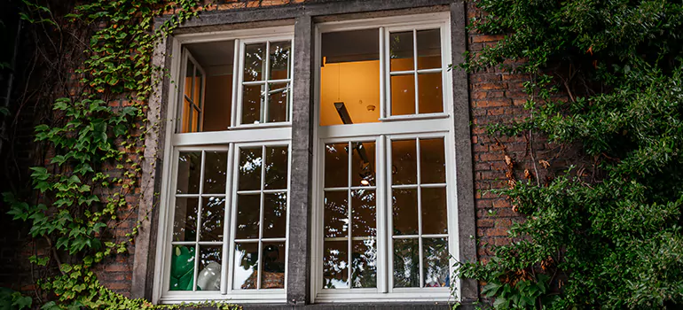 Energy Efficient Wood Windows in Immokalee, FL