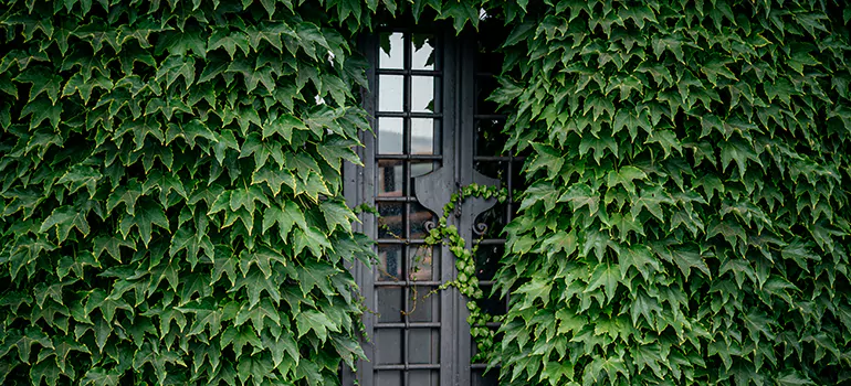 Garden Gate Repair in Immokalee, FL