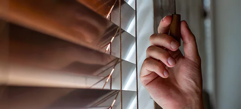 Double Roller Blinds in Immokalee, FL