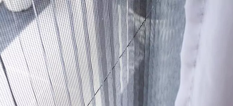 Fixing Screen Window Mesh in Immokalee, FL