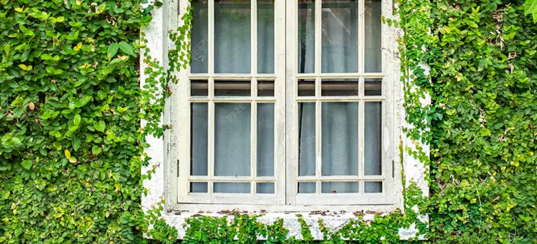 Garden Window Repair Near Me in Immokalee, FL