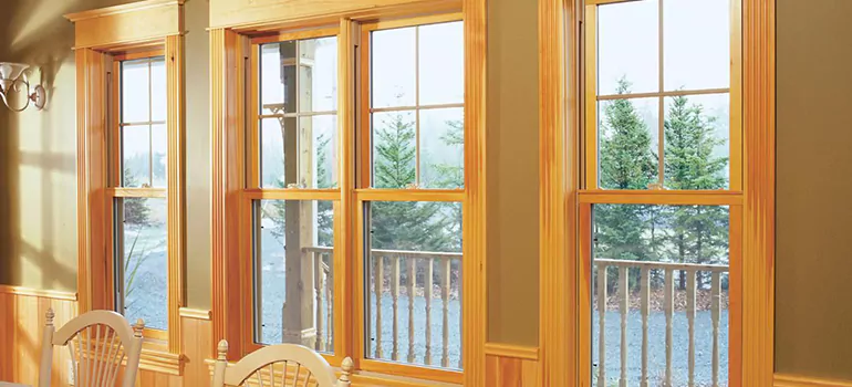 Government Incentives For Replacement Windows in Immokalee, FL