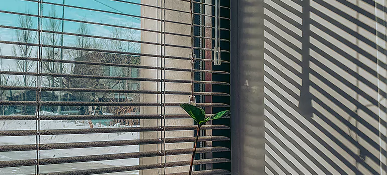 Commercial Window Blinds in Immokalee, FL