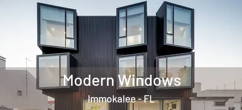  Modern Windows Immokalee - FL