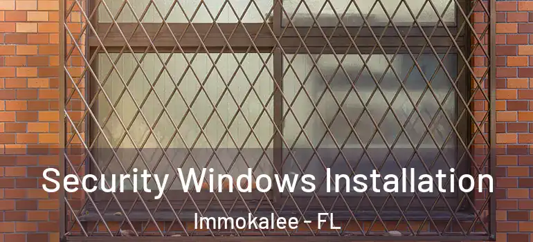  Security Windows Installation Immokalee - FL