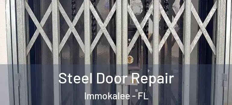  Steel Door Repair Immokalee - FL