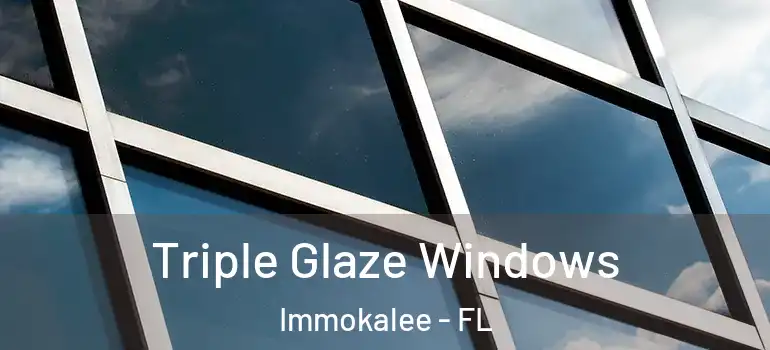  Triple Glaze Windows Immokalee - FL