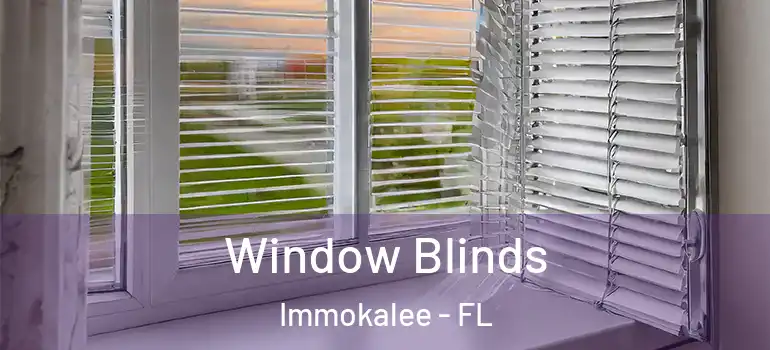  Window Blinds Immokalee - FL