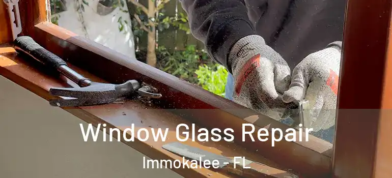  Window Glass Repair Immokalee - FL