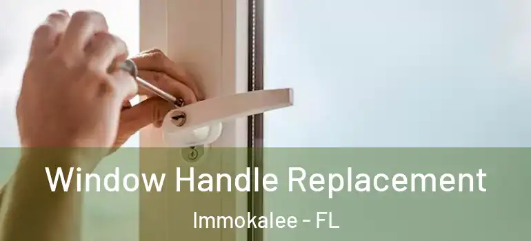  Window Handle Replacement Immokalee - FL