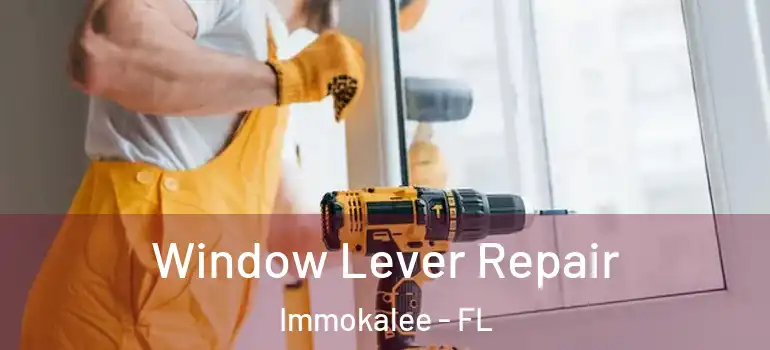  Window Lever Repair Immokalee - FL