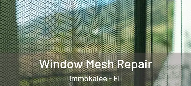  Window Mesh Repair Immokalee - FL