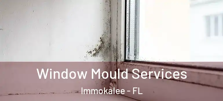  Window Mould Services Immokalee - FL
