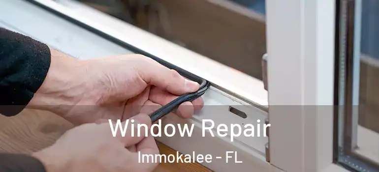  Window Repair Immokalee - FL