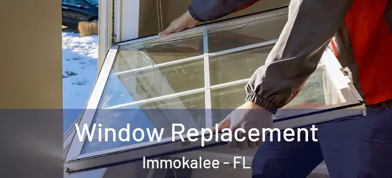  Window Replacement Immokalee - FL