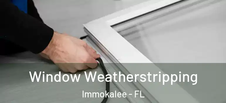  Window Weatherstripping Immokalee - FL